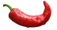 Chilli papričky 50x200g/kart - OT QUA