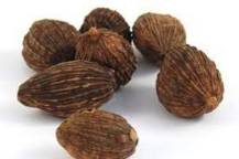 DIGFOOD Kardamon 40x500g/kart