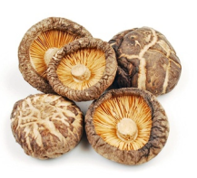 DIGFOOD - Voňavé houby 20x500g/kart - NAM HUONG