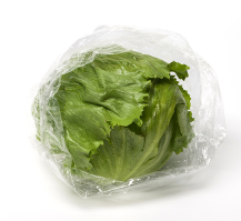 Ledový salát (10 ks/kart.) - SALAT DA